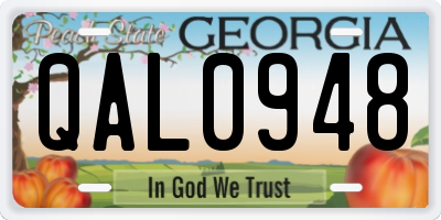 GA license plate QAL0948