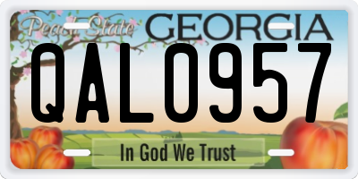 GA license plate QAL0957