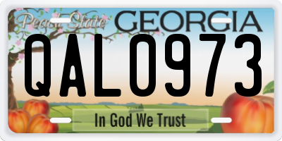 GA license plate QAL0973
