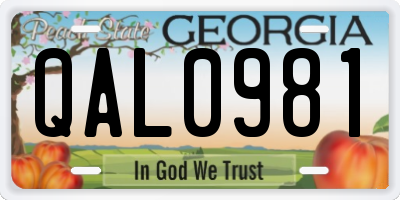 GA license plate QAL0981