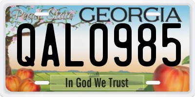 GA license plate QAL0985