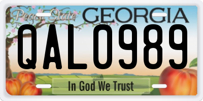 GA license plate QAL0989