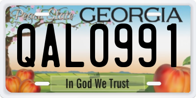 GA license plate QAL0991