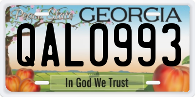 GA license plate QAL0993