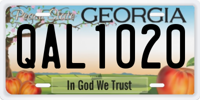 GA license plate QAL1020