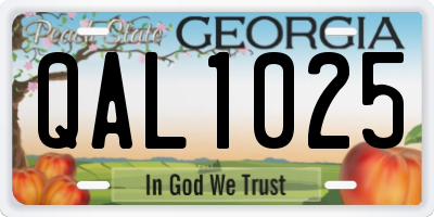 GA license plate QAL1025