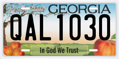 GA license plate QAL1030