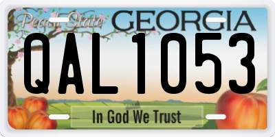 GA license plate QAL1053