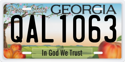 GA license plate QAL1063