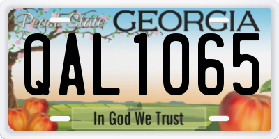 GA license plate QAL1065