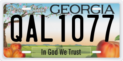 GA license plate QAL1077