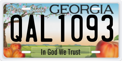 GA license plate QAL1093