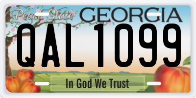 GA license plate QAL1099