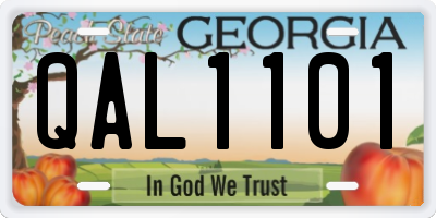 GA license plate QAL1101