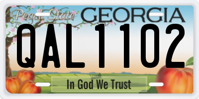 GA license plate QAL1102