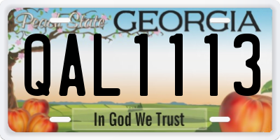 GA license plate QAL1113