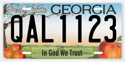 GA license plate QAL1123