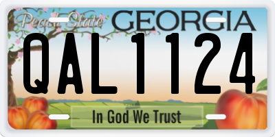 GA license plate QAL1124