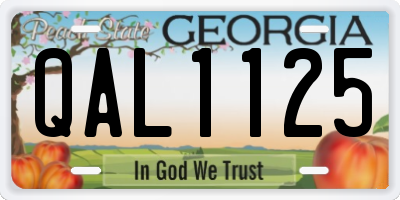 GA license plate QAL1125