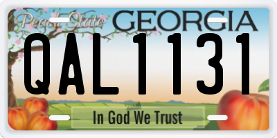 GA license plate QAL1131