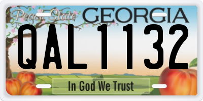 GA license plate QAL1132