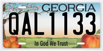 GA license plate QAL1133