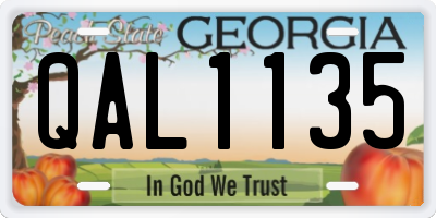 GA license plate QAL1135