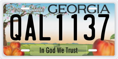 GA license plate QAL1137