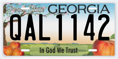 GA license plate QAL1142