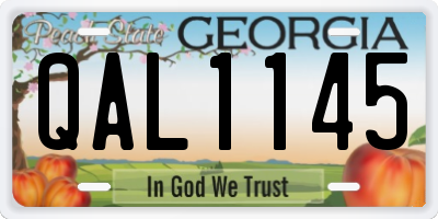 GA license plate QAL1145