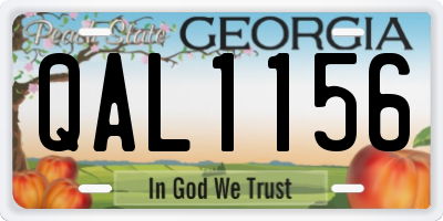 GA license plate QAL1156