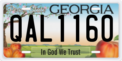 GA license plate QAL1160