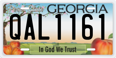 GA license plate QAL1161