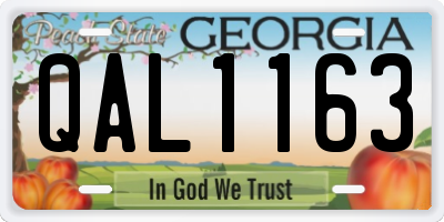GA license plate QAL1163