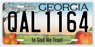 GA license plate QAL1164