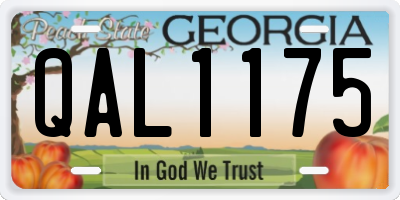 GA license plate QAL1175
