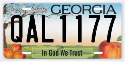 GA license plate QAL1177