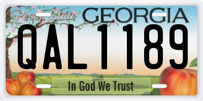 GA license plate QAL1189