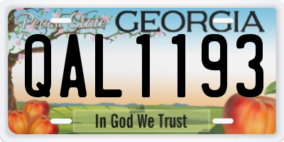 GA license plate QAL1193