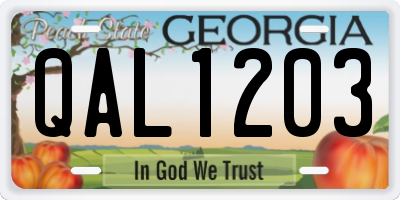 GA license plate QAL1203