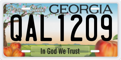 GA license plate QAL1209
