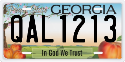 GA license plate QAL1213