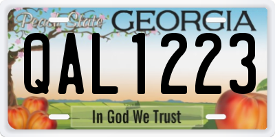 GA license plate QAL1223
