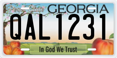 GA license plate QAL1231