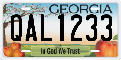 GA license plate QAL1233