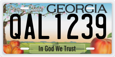 GA license plate QAL1239