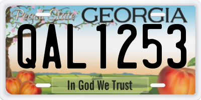 GA license plate QAL1253