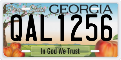 GA license plate QAL1256