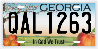 GA license plate QAL1263