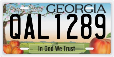 GA license plate QAL1289